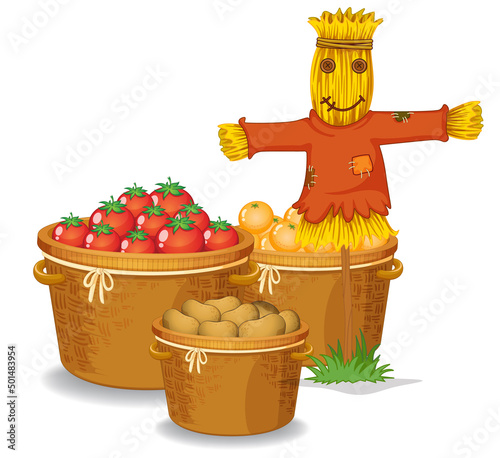 Fresh fruits in basket