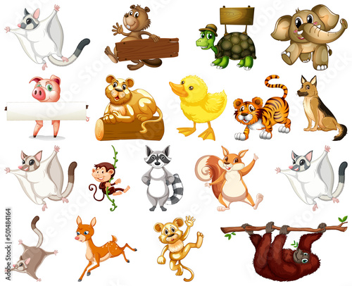 Set of animal cartoon character