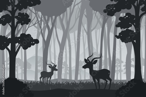 Silhouette shadow of forest scene