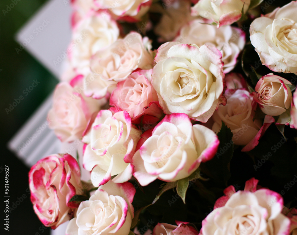 Thriving of full bloom flowerscape, floral visual of live flowers wall, beautiful roses background. Front top photo of a pink roses with selective focus in a bouquet on a soft green background