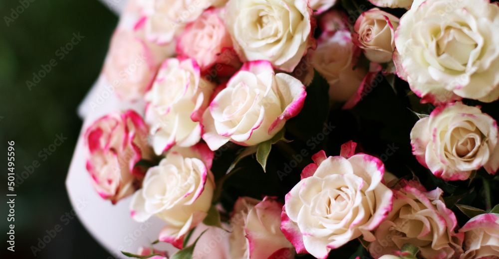 Thriving of full bloom flowerscape, floral visual of live flowers wall, beautiful roses background. Front top photo of a pink roses with selective focus in a bouquet on a soft green background 