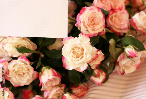 Thriving of full bloom flowerscape, floral visual of live flowers wall, beautiful roses background. Front top photo of a pink roses with selective focus in a bouquet on a soft green background  © Elena