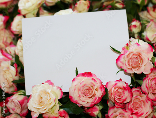 Wedding, birthday stationery mock-up scene. Blank paper greeting card, invitation. Decorative floral composition. Closeup of pink roses petals. Mock up with empty space.