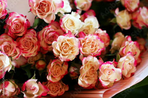 Thriving of full bloom flowerscape, floral visual of live flowers wall, beautiful roses background. Front top photo of a pink roses with selective focus in a bouquet on a soft green background 