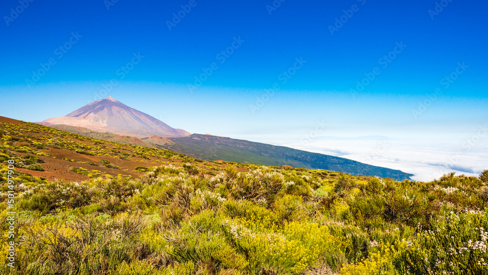 Blick über kanarische Insel Teneriffa mit Teide Vulkan im Hintergrund