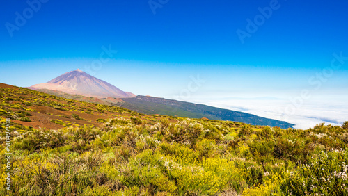 Blick über kanarische Insel Teneriffa mit Teide Vulkan im Hintergrund