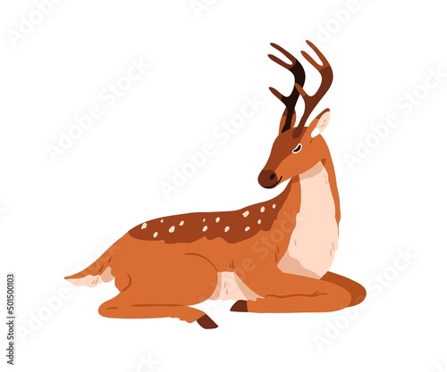 Cute bambi deer lying. Spotted reindeer sleeping. Adorable graceful fawn animal with antlers horns resting with closed eyes. Colored flat vector illustration isolated on white background