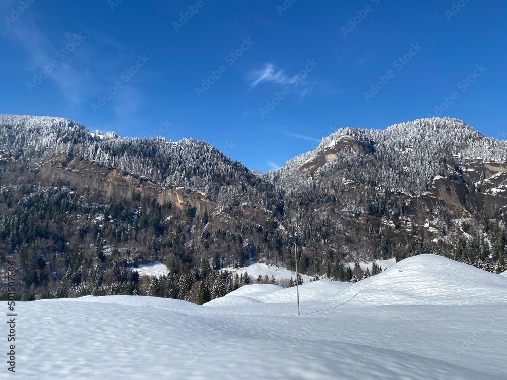 Fairytale alpine winter atmosphere with snow-covered coniferous trees and stone cliffs on the mountain peak Hinderfallenchopf (1531 m), Nesslau - Obertoggenburg region, Switzerland (Schweiz)