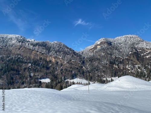 Fairytale alpine winter atmosphere with snow-covered coniferous trees and stone cliffs on the mountain peak Hinderfallenchopf (1531 m), Nesslau - Obertoggenburg region, Switzerland (Schweiz)