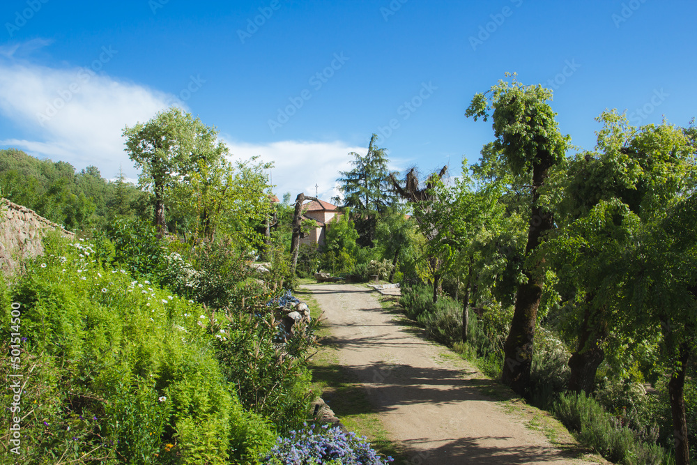 Dirt road surrounded by vegetation and old church in the background. Copy space. Selective focus. Dirt road surrounded by vegetation and old church in the background. Copy space. Selective focus.