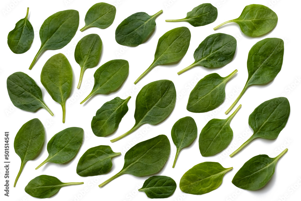 set of spinach leaves isolated on white background. Healthy food