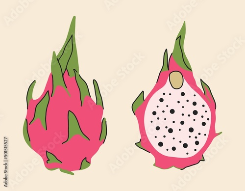 Dragon fruit, whole fruit and half, tropical fruit. Vector illustration isolated on white background.