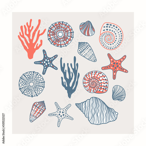 Sea shells, fossils and mollusks underwater object set. Summer beach hand-drawn seaside vector print. Fashion bright multicolored illustration. Seashore elements design
