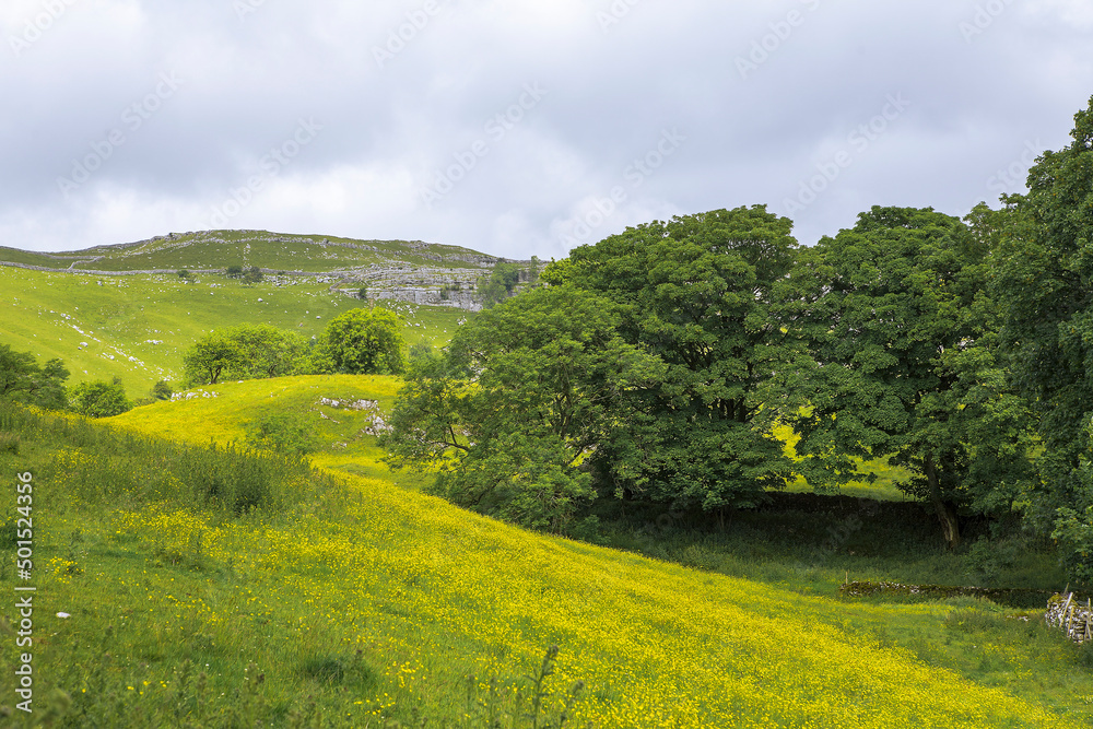 Malhamdale near Malham Cove, with buttercup meadows and limestone moorland beyond: Yorkshire Dales National Park, North Yorkshire, England Malhamdale near Malham Cove, with buttercup meadows and limestone moorland beyond: Yorkshire Dales National Park, North Yorkshire, England