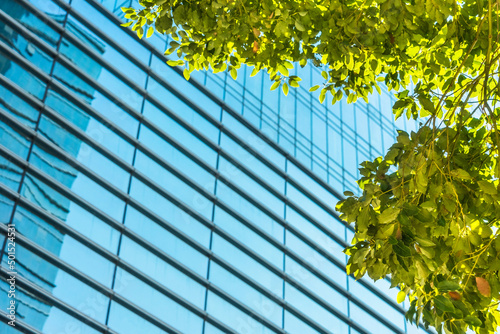 modern office building with green leaves.