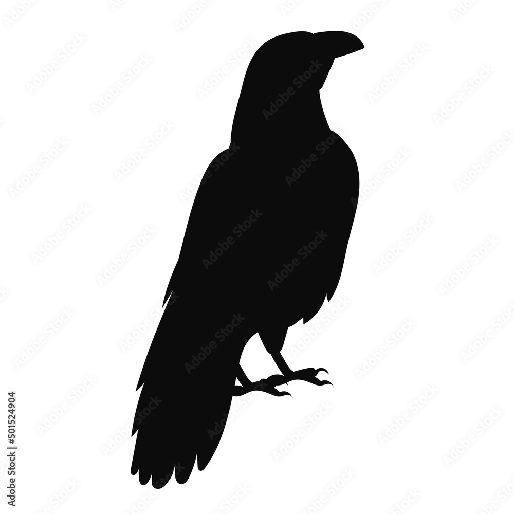 Fototapeta premium bird, raven black silhouette, on a white background, isolated, vector