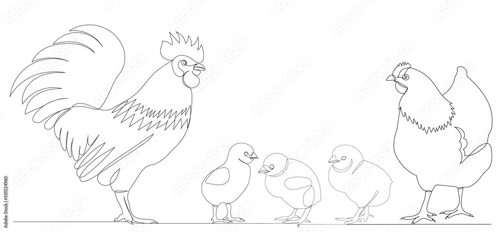 rooster, hen and chicks drawing by one continuous line, sketch vector