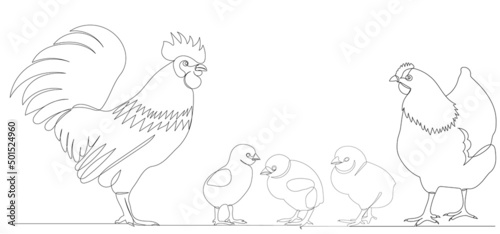 rooster, hen and chicks drawing by one continuous line, sketch vector