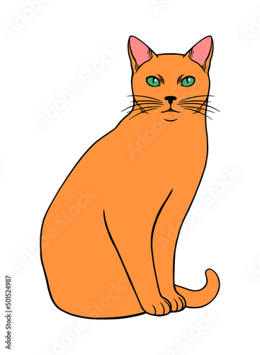Simple sitting cat illustration