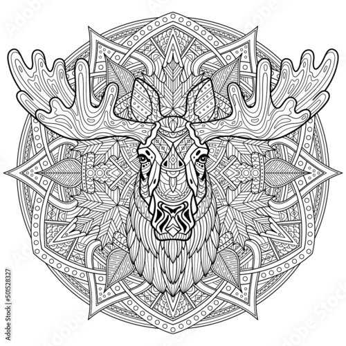Elk. Moose. Head of a horned elk. Hand-drawn moose portrait. Sketch graphics illustration on ornamental background. Patterned head of an adult animal. Full face. Ethnic motifs. Vector illustration