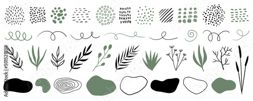 Hand drawn plants, organic shapes, dots, lines. Vector set of minimal trendy abstract natural elements for graphic design