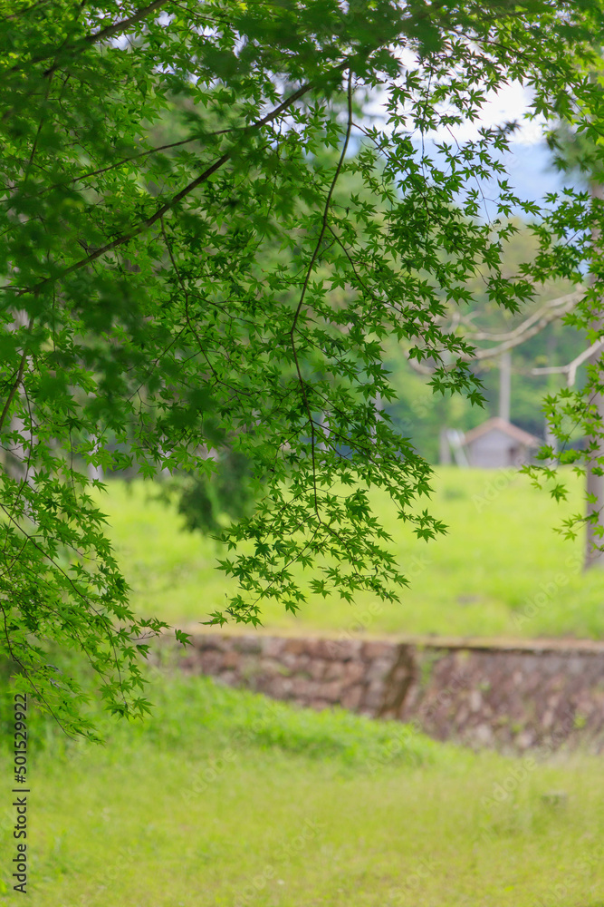 Fototapeta premium 田舎の山に囲まれた小屋