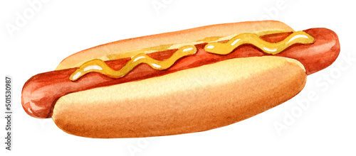 watercolour fast food, hand drawn hot dog, sketch of sausage on white background