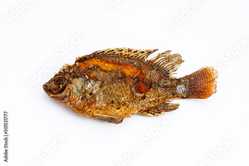 Fried fish on white background.