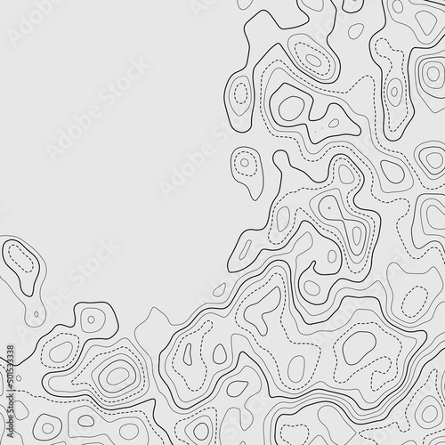 Topographic map background. Geographic grid. Vector Image