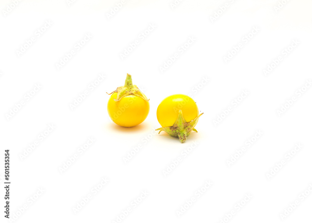 Two over ripen yellow small round eggplant for heirloom seed saving isolated on white background