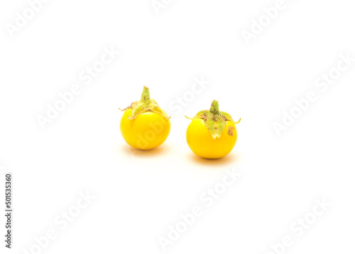 Two over ripen yellow small round eggplant for heirloom seed saving isolated on white background photo