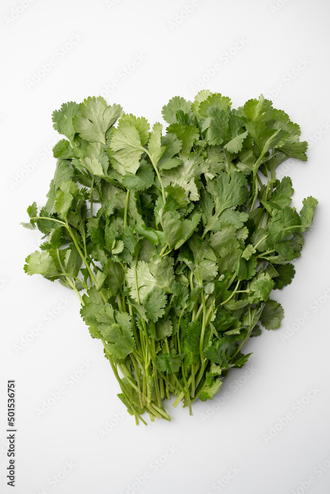 Fototapeta premium Bunch of fresh cilantro close-up on a white background