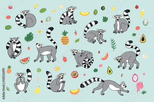 lemur funny animal with tropical fruits illustrations vector set