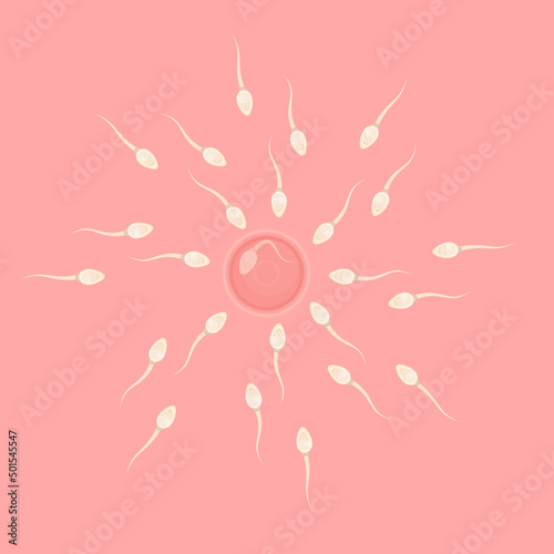 Fertilization of an egg. Sperm cells and a female egg, vector illustration
