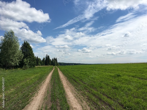 country road in the field