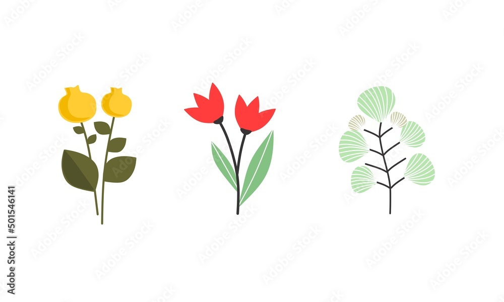 A set of flowers and plants in a flat minimalist style. Simple plants vector.Petals and leaves.