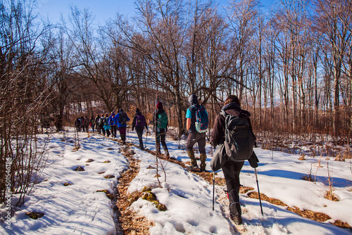 Group of active people hiking on winters trail. Rear view. Rural road covered by snow. Winter adventure journey. Winter nature landscape. Healthy lifestyle. 