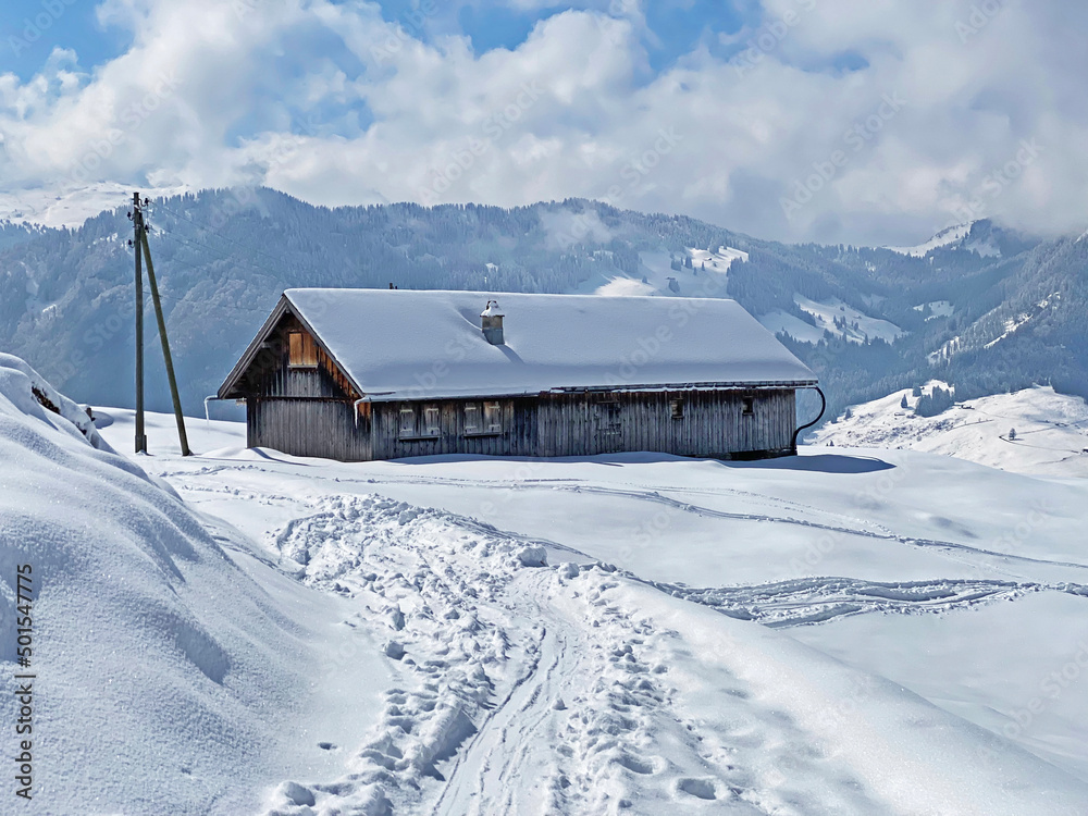 Indigenous alpine huts and wooden cattle stables on Swiss pastures covered with fresh white snow cover, Nesslau - Obertoggenburg, Switzerland (Schweiz)