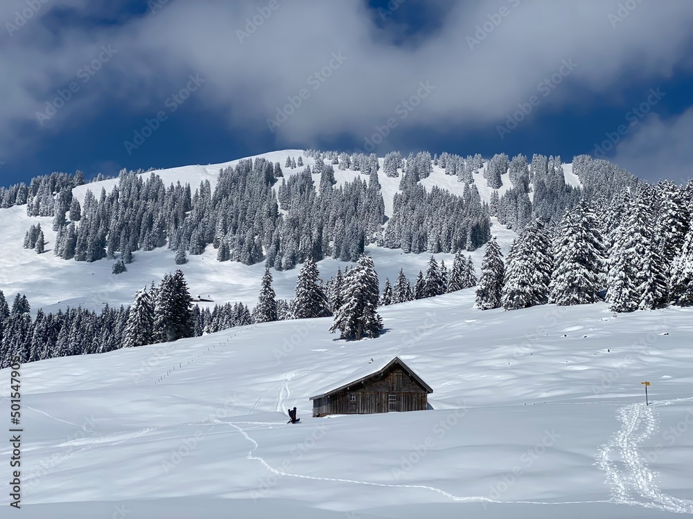 Indigenous alpine huts and wooden cattle stables on Swiss pastures covered with fresh white snow cover, Nesslau - Obertoggenburg, Switzerland (Schweiz) Indigenous alpine huts and wooden cattle stables on Swiss pastures covered with fresh white snow cover, Nesslau - Obertoggenburg, Switzerland (Schweiz)