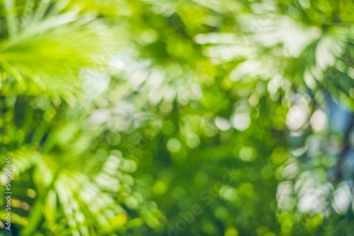 beautiful Natural green leaf and abstract blur bokeh light background