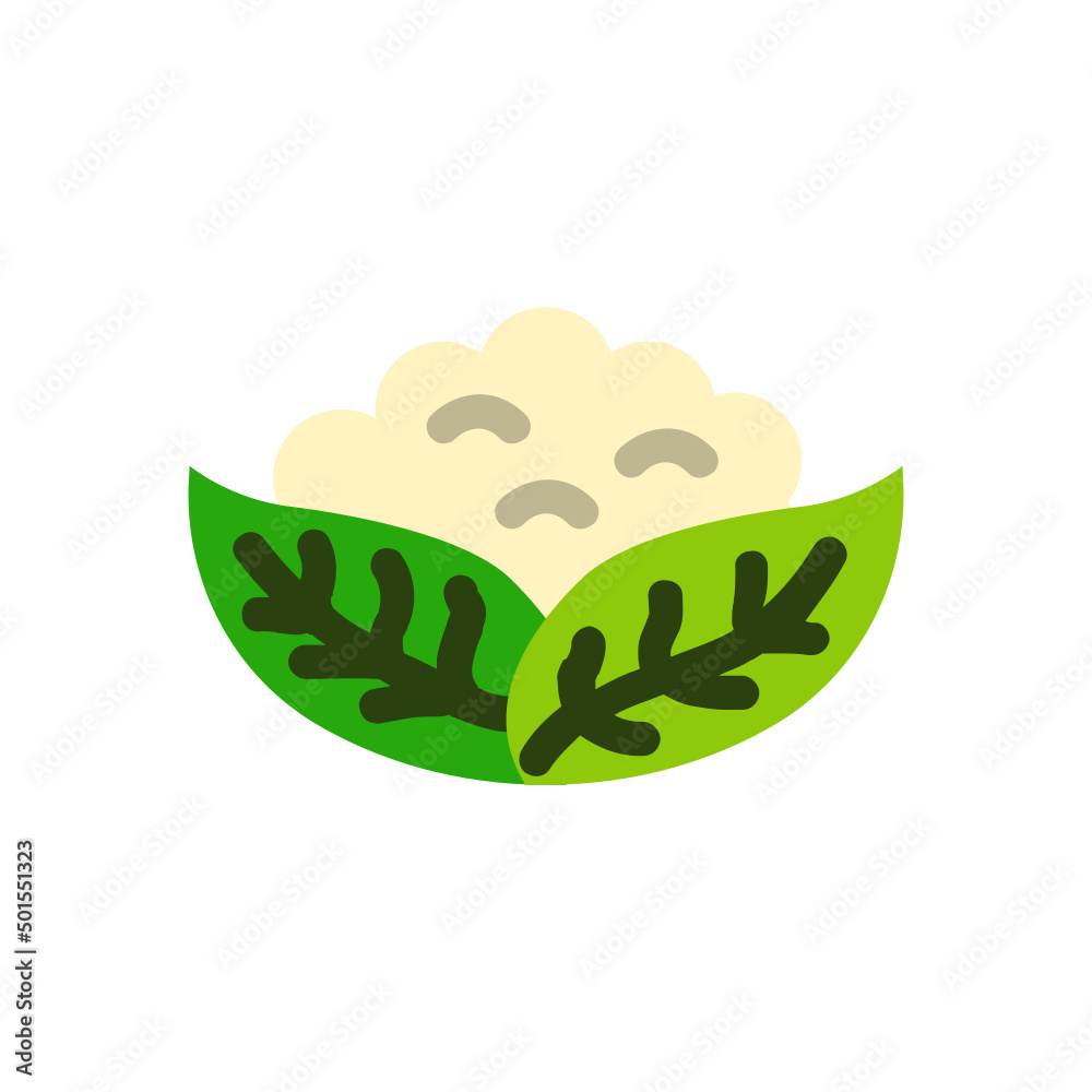 Cauliflower , Vegetables flat icon.