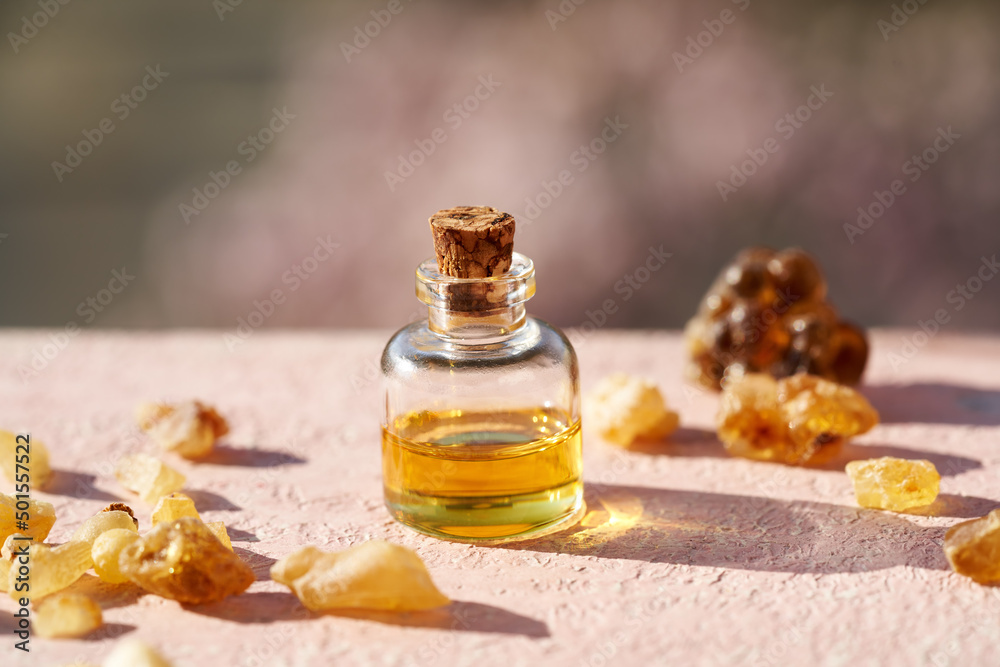 A bottle of frankincense essential oil with frankincense resin on pink background A bottle of frankincense essential oil with frankincense resin on pink background