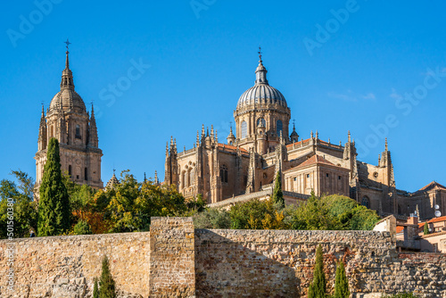 Salamanca, Spain - november 6 2022 - tthe Catedral de Salamanca seen from the park