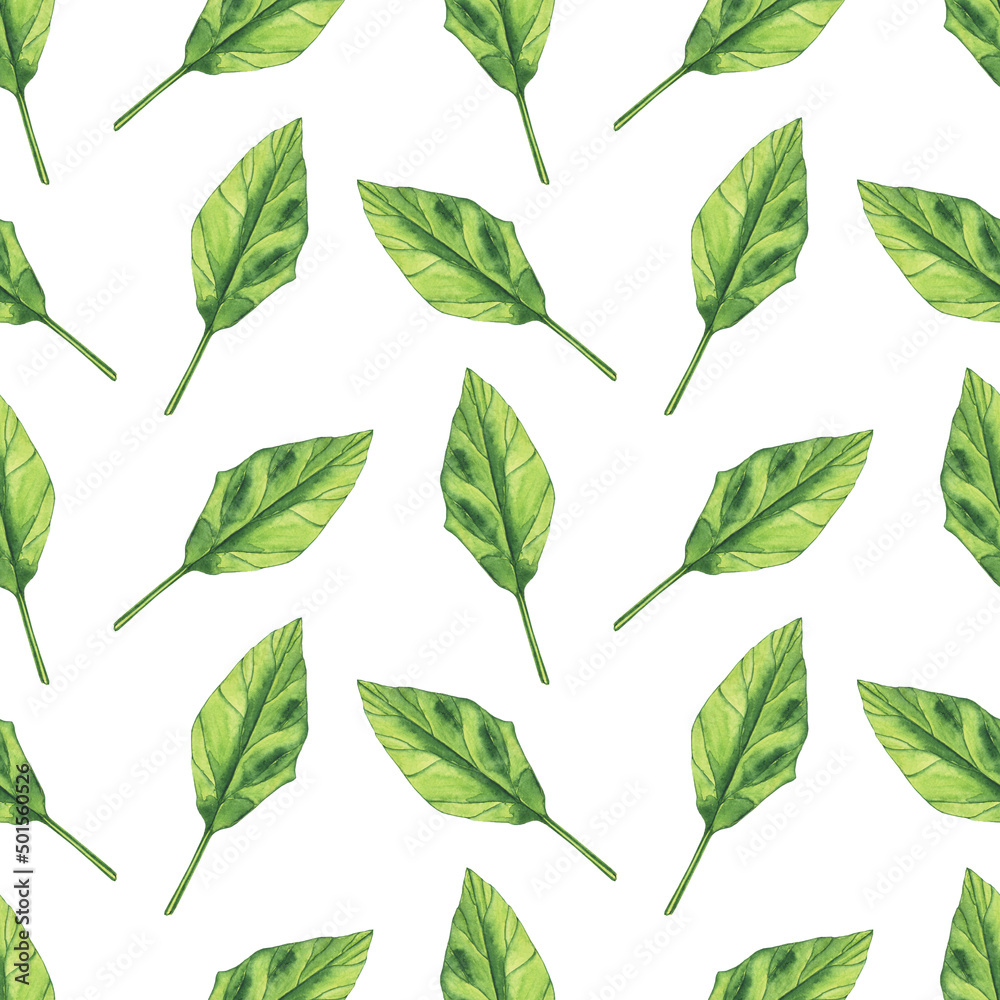 Watercolor Spinach leaf seamless pattern on white background. Greenery hand drawing illustration. Healthy food. Watercolor Spinach leaf seamless pattern on white background. Greenery hand drawing illustration. Healthy food.