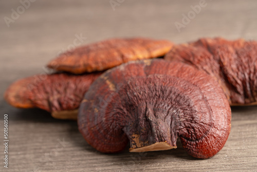 Dried lingzhi mushroom on wooden background, healthy herb food.