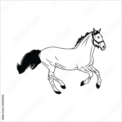black and white linear paint draw horse vector illustration  Running black line horse on white background. Vector graphic.