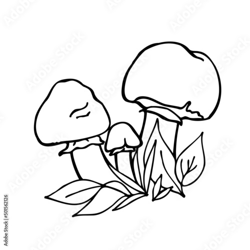 Beautiful champignons drawn in freehand style. Champignons in the forest. Idea for packaging, appliqué, children's creativity