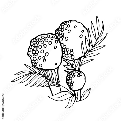 Mushroom puffball pear-shaped or hemp. Edible mushroom. Vector black and white illustration