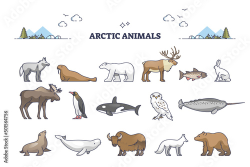 Arctic animals collection with cold north environment wildlife outline set. Frozen nature habitat for penguins  wolfs  seal  bear  reindeer and seals vector illustration. Zoology elements and items.