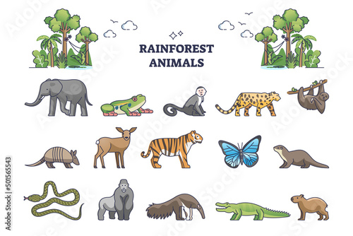 Rainforest jungle wildlife elements with animal fauna outline collection set. Zoology and biodiversity for lush and mist climate habitat vector illustration. Insects, birds, reptile and mammal items.